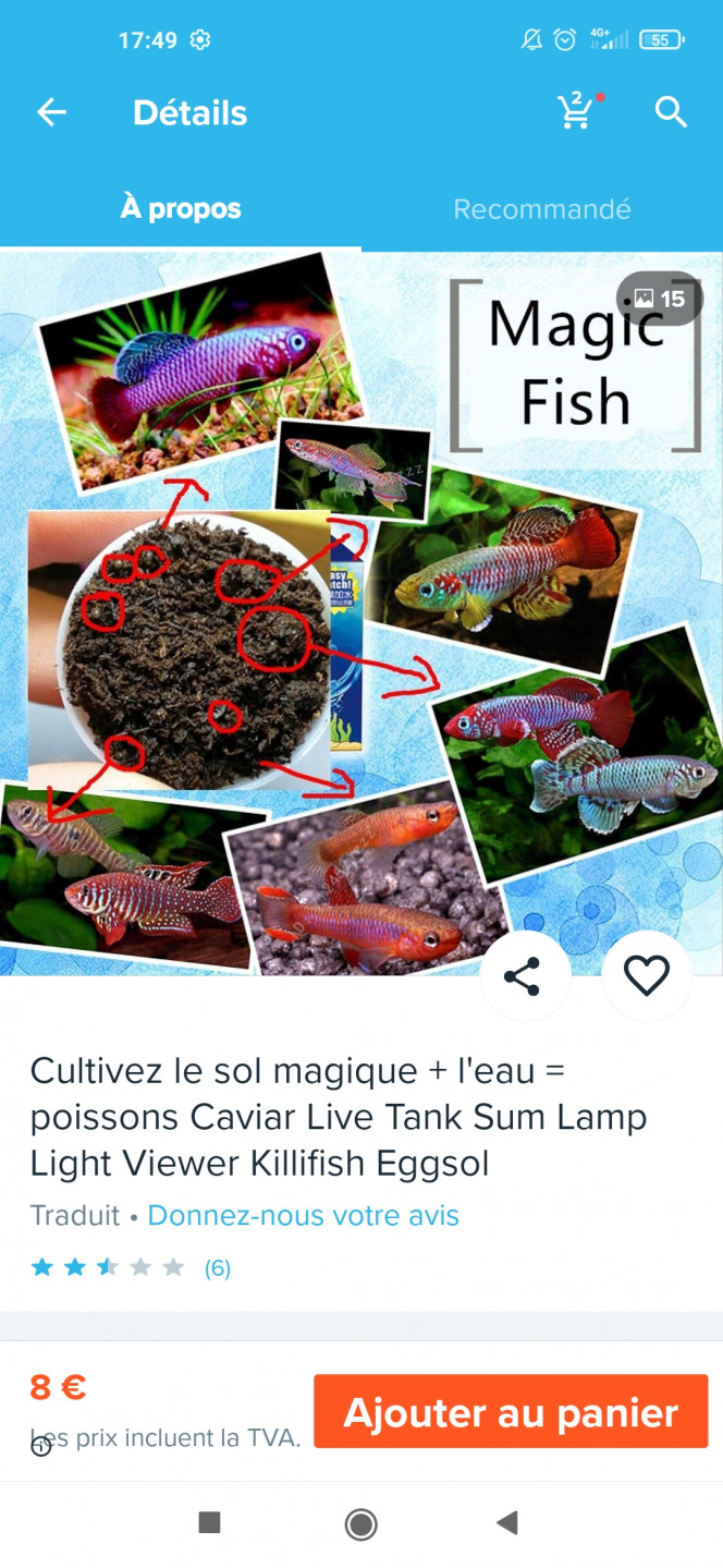 Photographie du post de Ryuu 