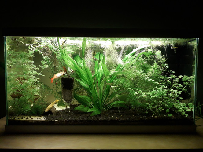 Avant/après Un petit peu de ménage ne fait pas de mal :)