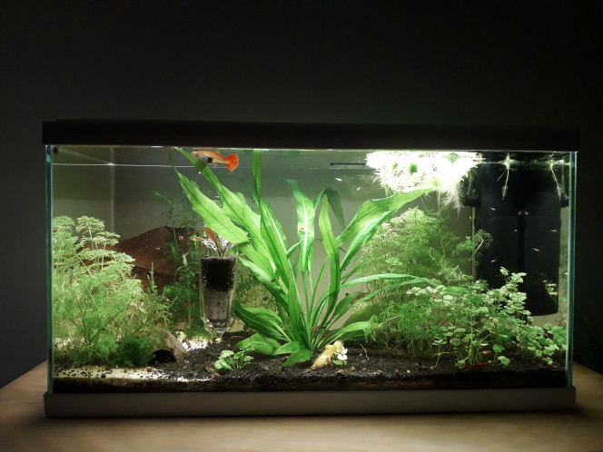 Avant/après Un petit peu de ménage ne fait pas de mal :)