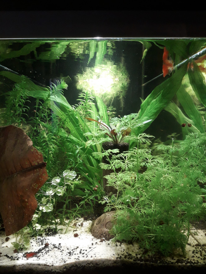 Avant/après Un petit peu de ménage ne fait pas de mal :)