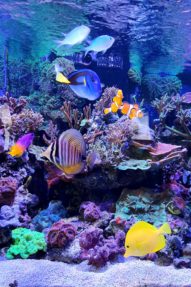 Photo de famille ? 