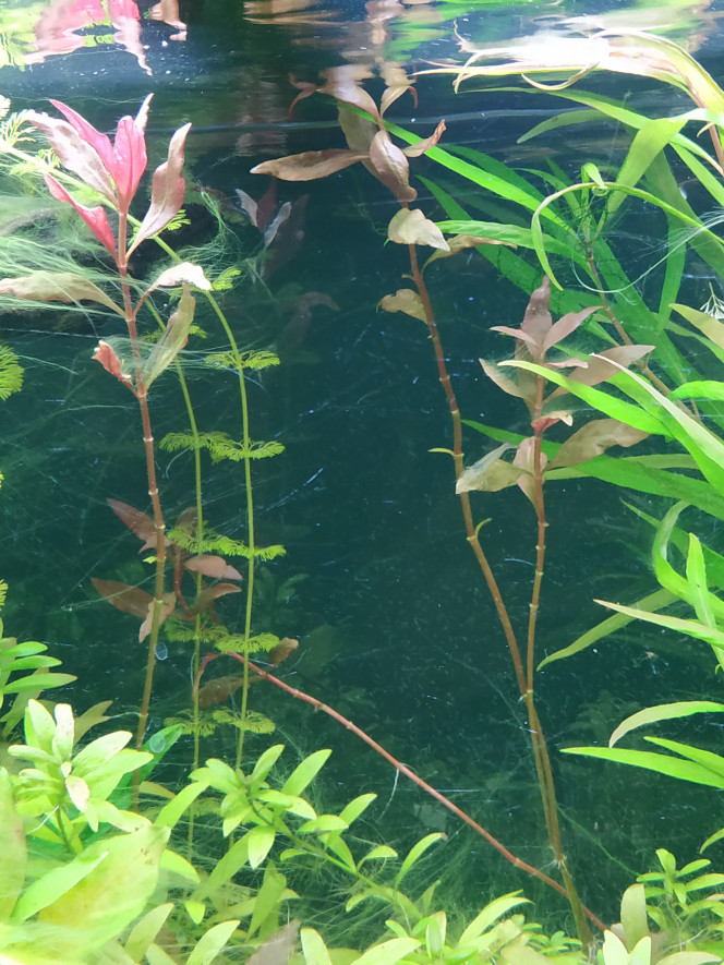 Photographie du post de Molac 