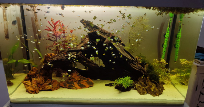 Photographie du post de Mod91 