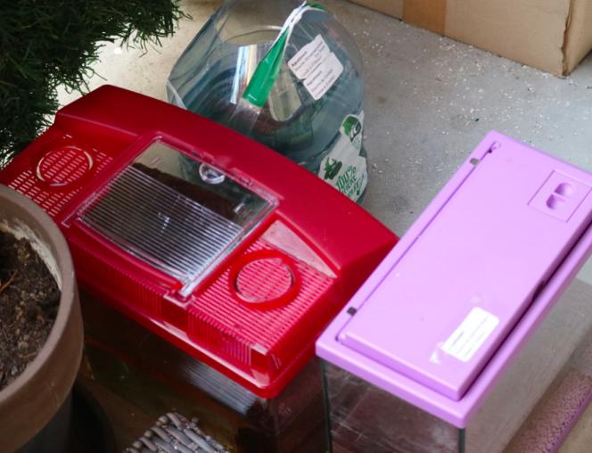 Photographie du post de ieto 