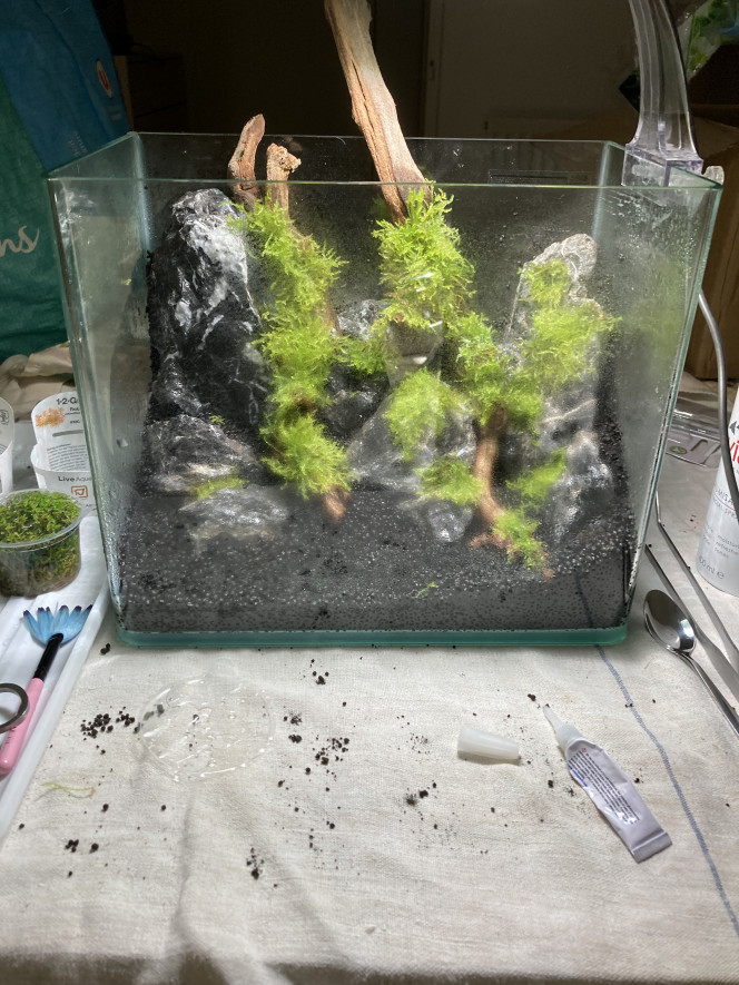 Création du hardscape et plantation