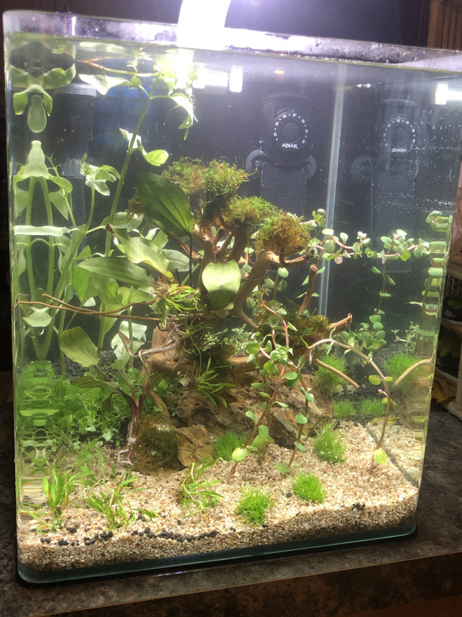 Nano 30L 