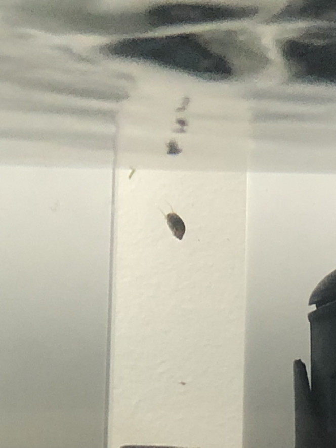 Photographie du post de johfrn 