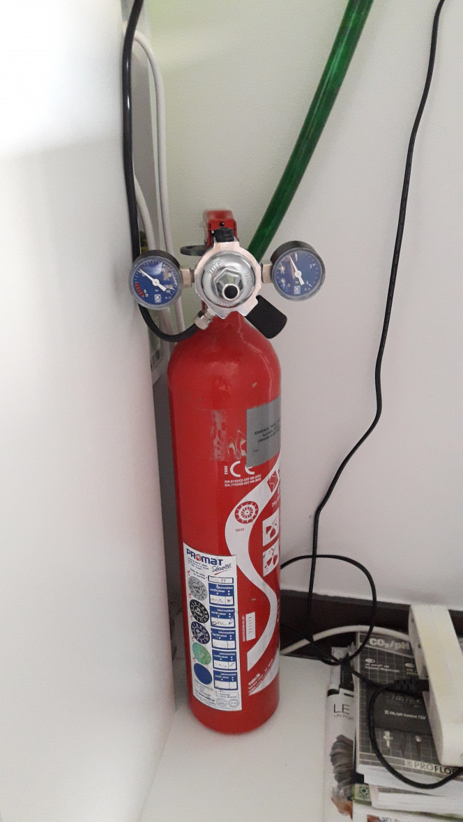 Photographie du post de Reg27 