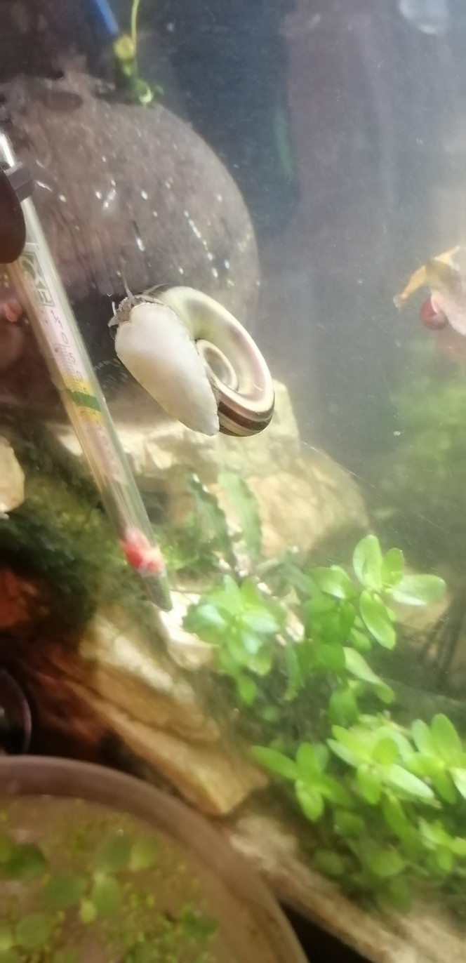 Photographie du post de Aquagarden83 