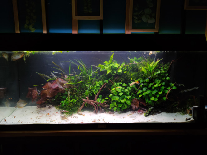 VUE D'ENSEMBLE Petite envie de changement
