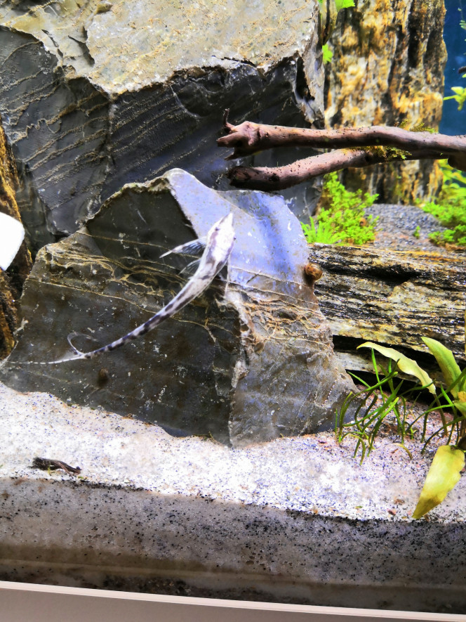 Photographie du post de Delflabelette 