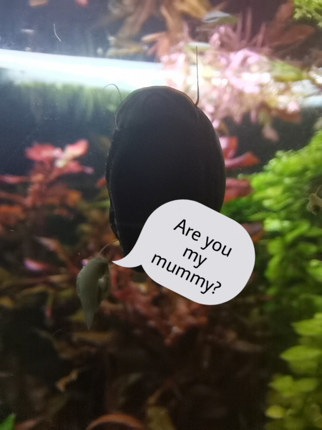 Photographie du post de Kaeris 