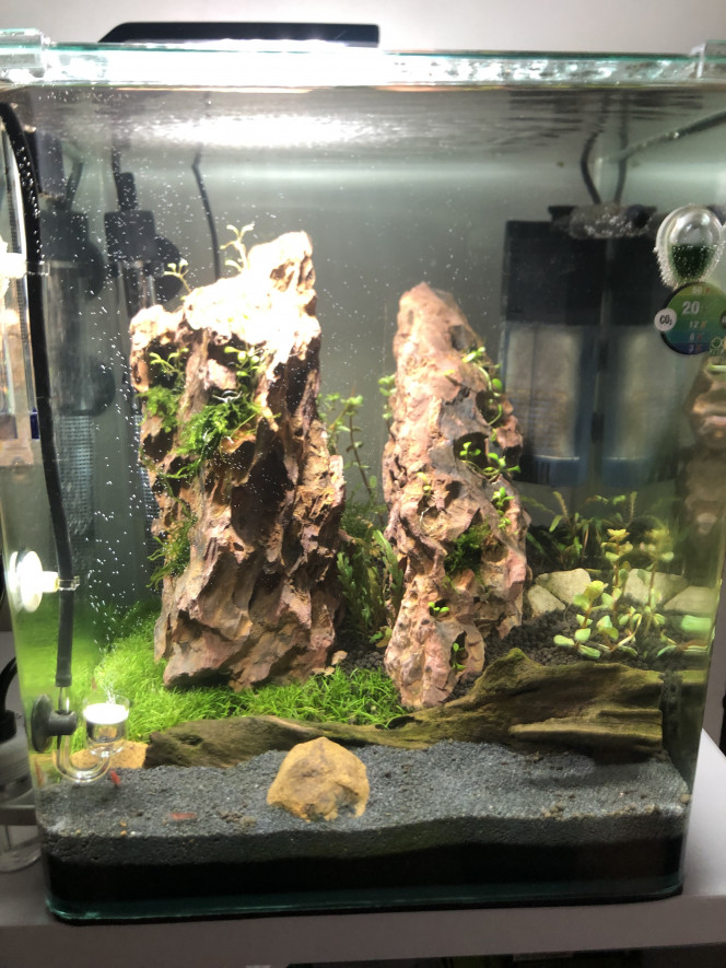 Nano aqua avec un nouveau hardscape 