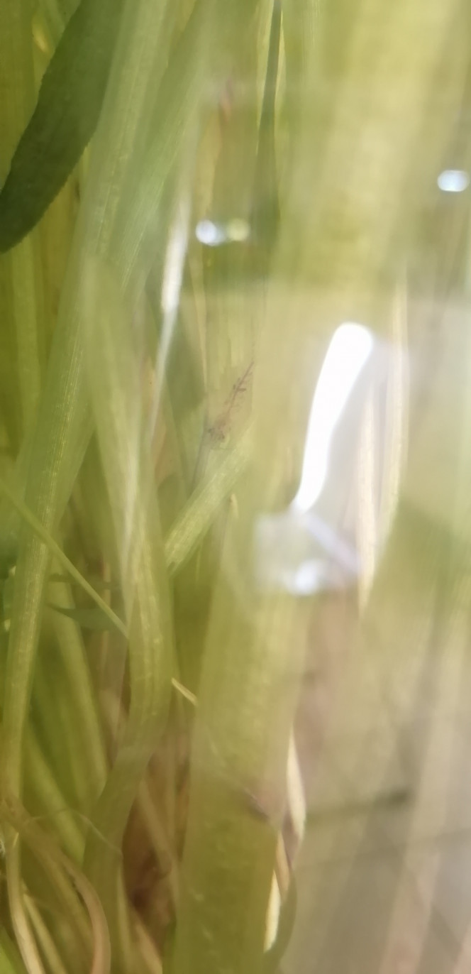 Photographie du post de Aquagarden83 
