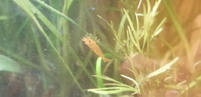 Photographie du post de Aquagarden83 