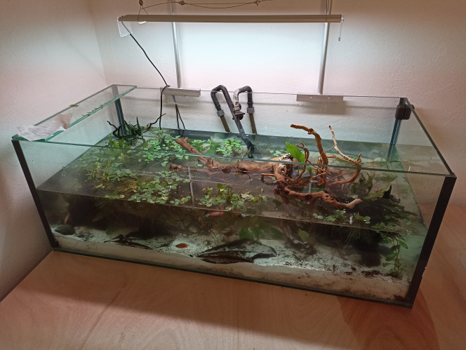 Photographie du post de tommy-delamare 