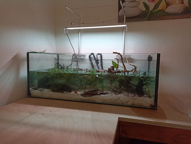 Photographie du post de tommy-delamare 