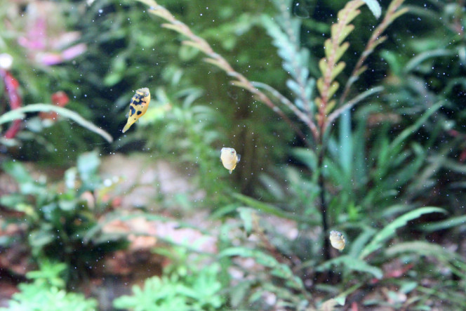 Photographie du post de TortueGeniale91 