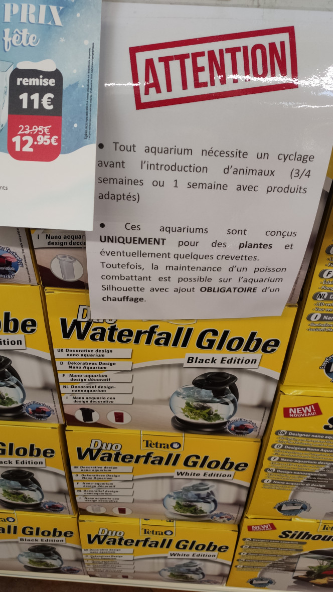 Photographie du post de TortueGeniale91 