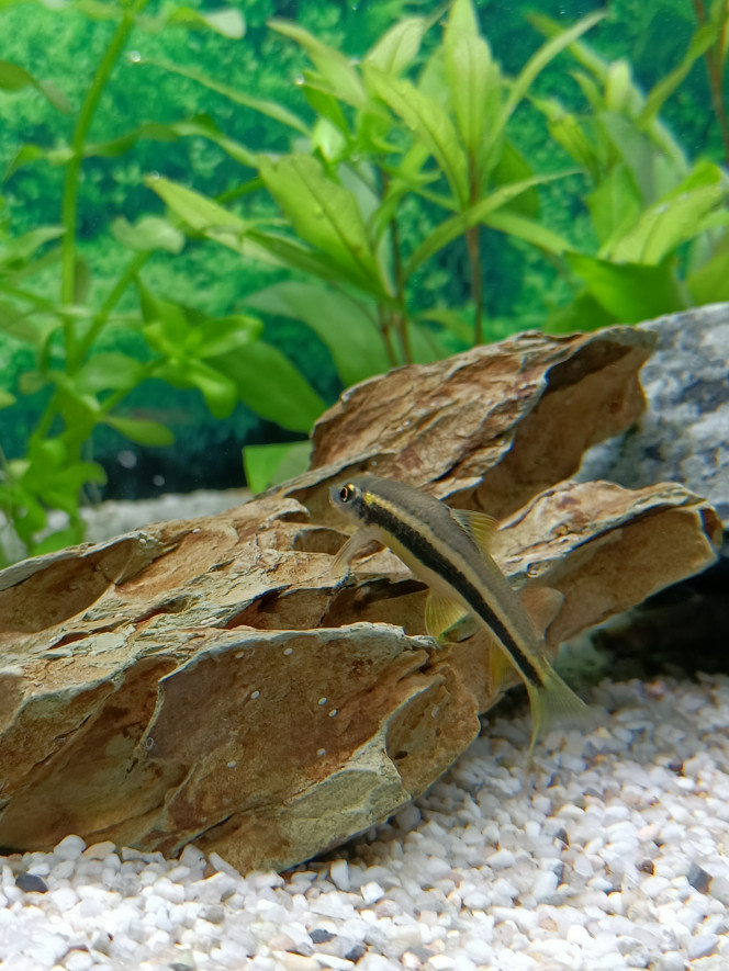 Photographie du post de Fish59 