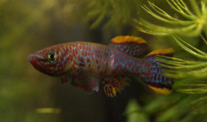 Photographie du post de jako 