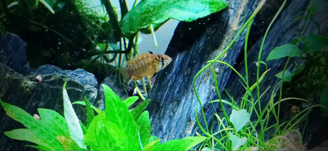 Photographie du post de bryce 