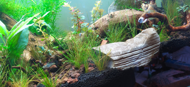 Photographie du post de SevyHBW 