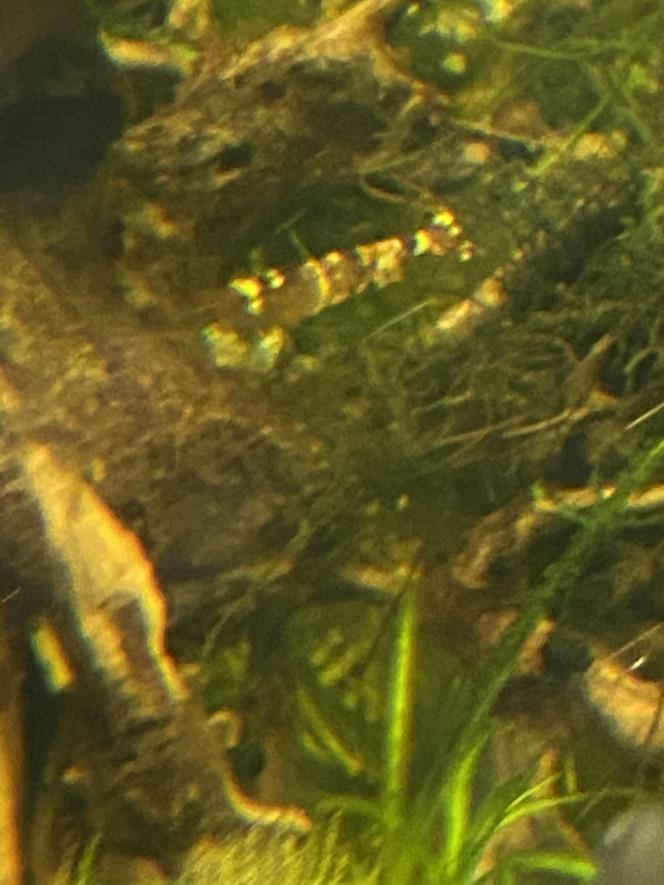 Photographie du post de Omez78 