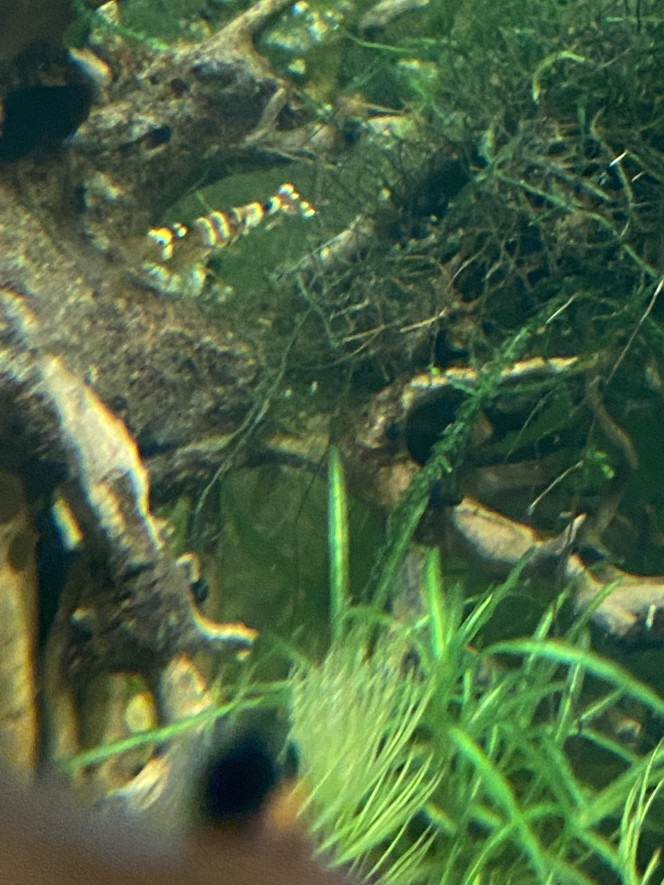 Photographie du post de Omez78 