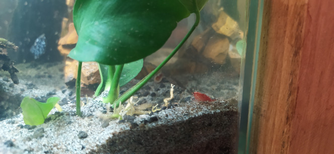 Photographie du post de SevyHBW 