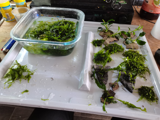 Photographie du post de Kaeris 