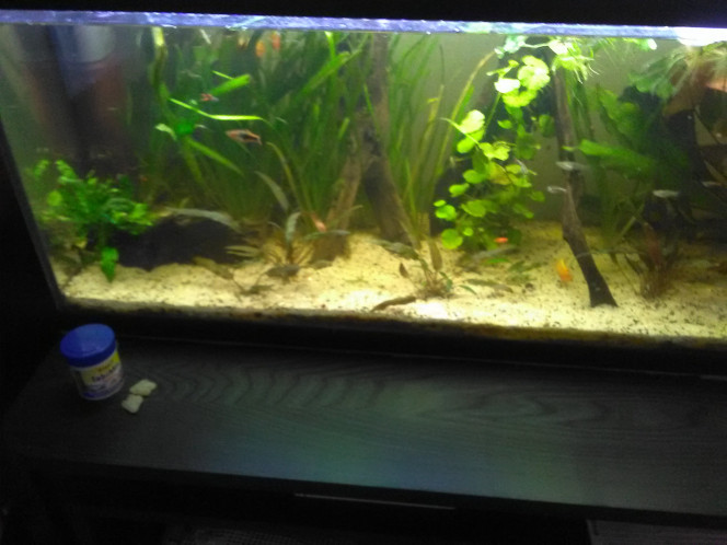 120 litres 
