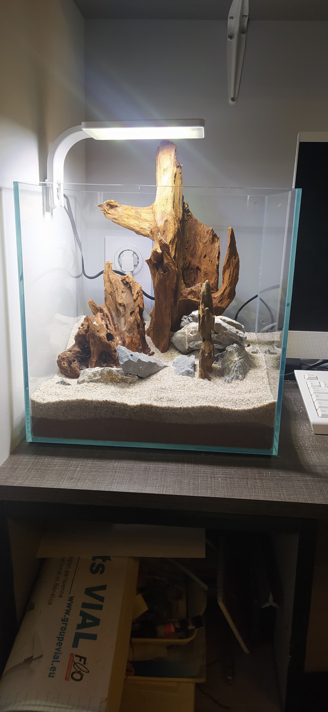 Mini 27L Futur terrain de jeu des Red Cherry et des Rasbora Brigittae
