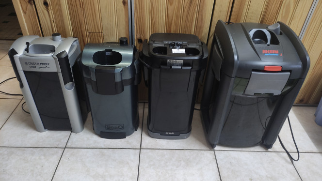Photographie du post de Blitz 