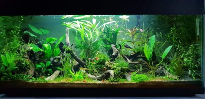 3mois Voilà une photo environ 3 mois après