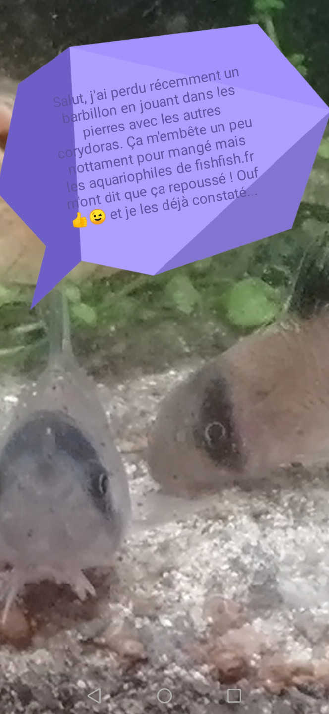 Photographie du post de Aquagarden83 