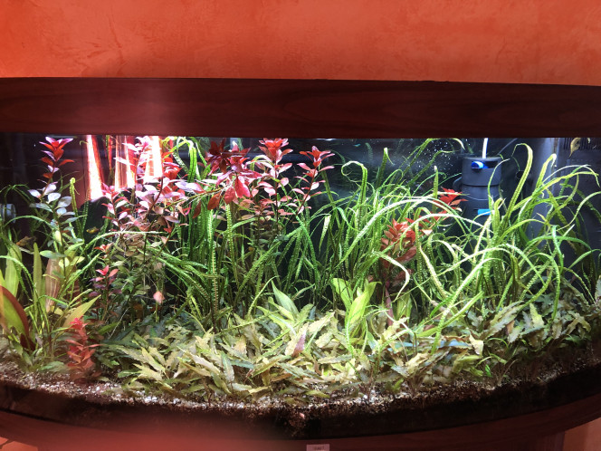 Photographie du post de Carole-Diana 