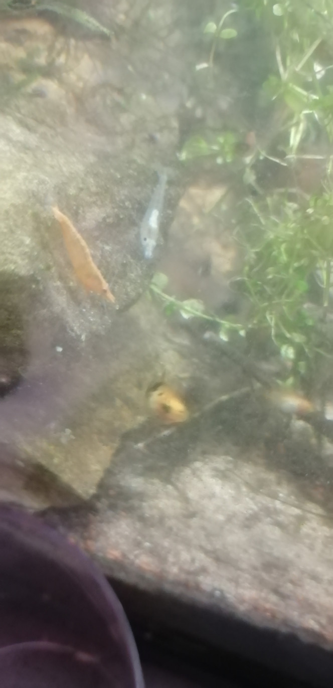 Photographie du post de Aquagarden83 