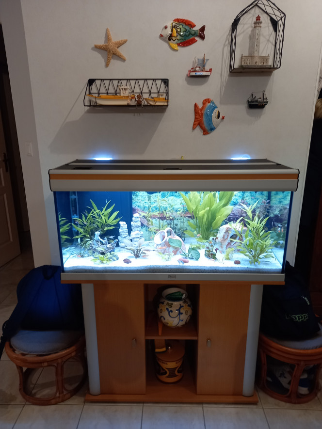 Quel est le meilleur filtre pour aquarium ? - Jardiland