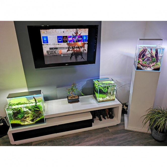 Photographie du post de Anthony55300 