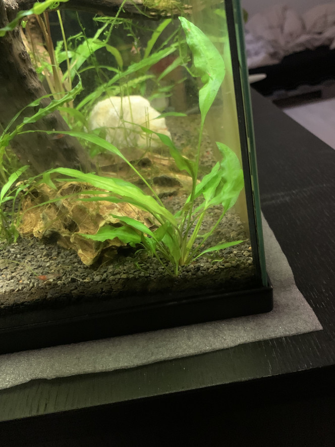 Photographie du post de Hugz7 