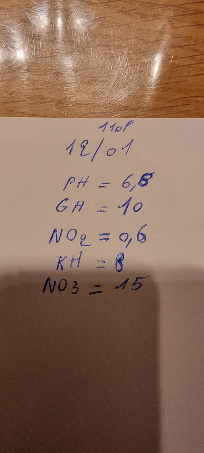 Photographie du post de NaelLALOUX 