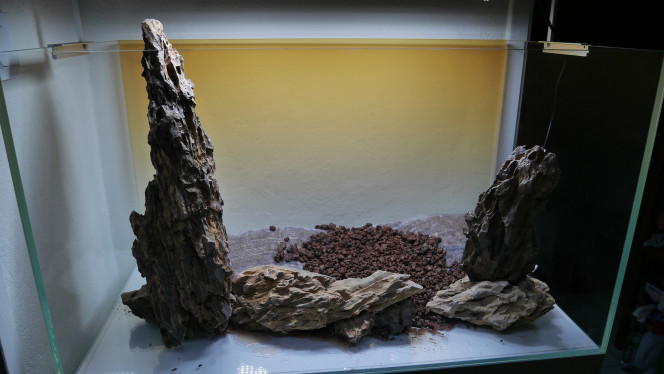 Photographie du post de percy8 