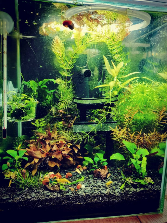 Photographie du post de Kaeris 