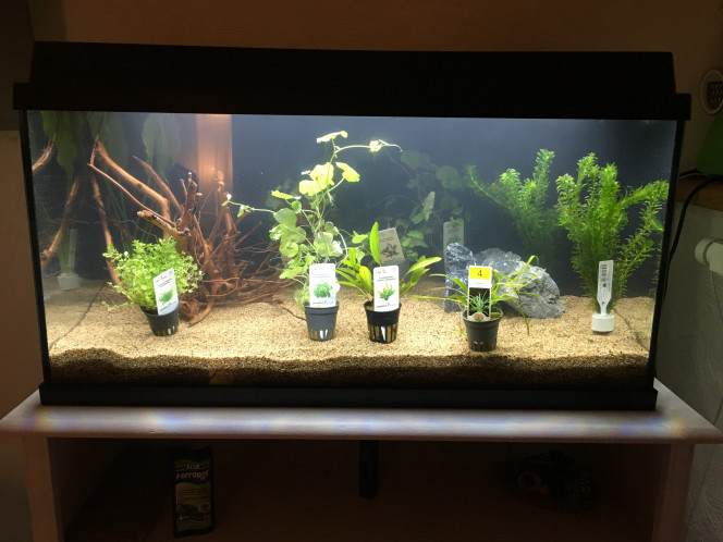Aquarium rempli 