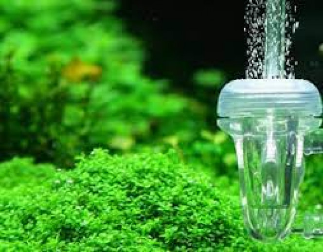 Photographie du post de Aquagarden83 