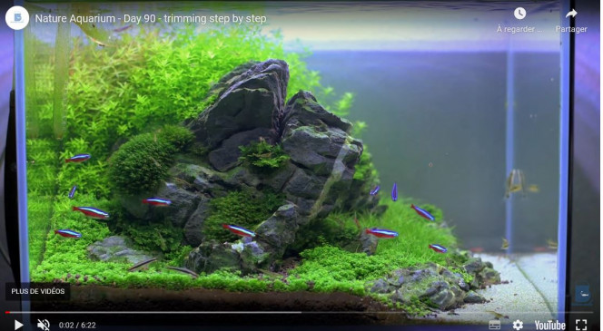 Photographie du post de Aquagarden83 