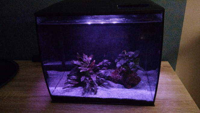 Photographie du post de aquario78 