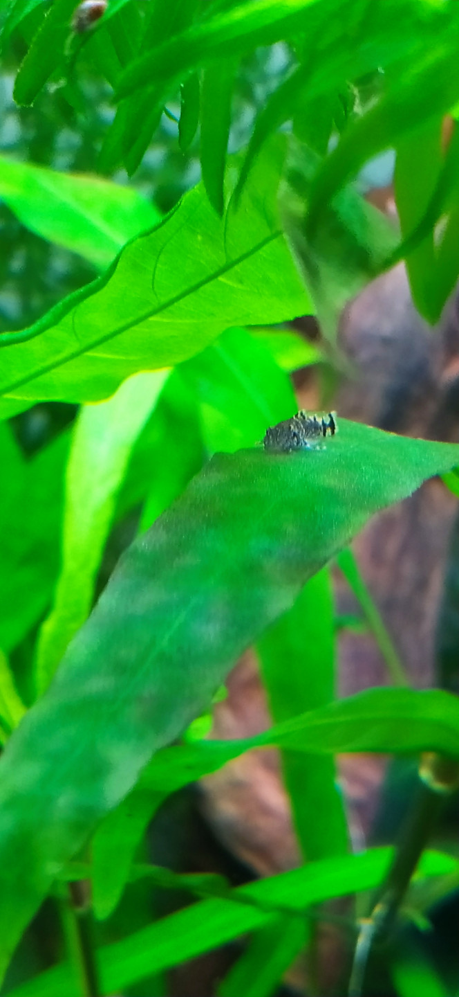 Photographie du post de SevyHBW 