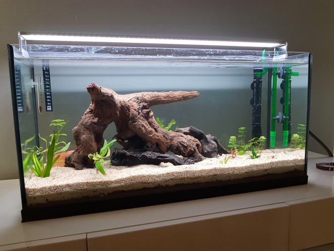 Biotope communautaire 